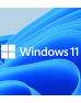 Windows 11 Pro
